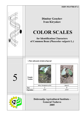 Color Scales