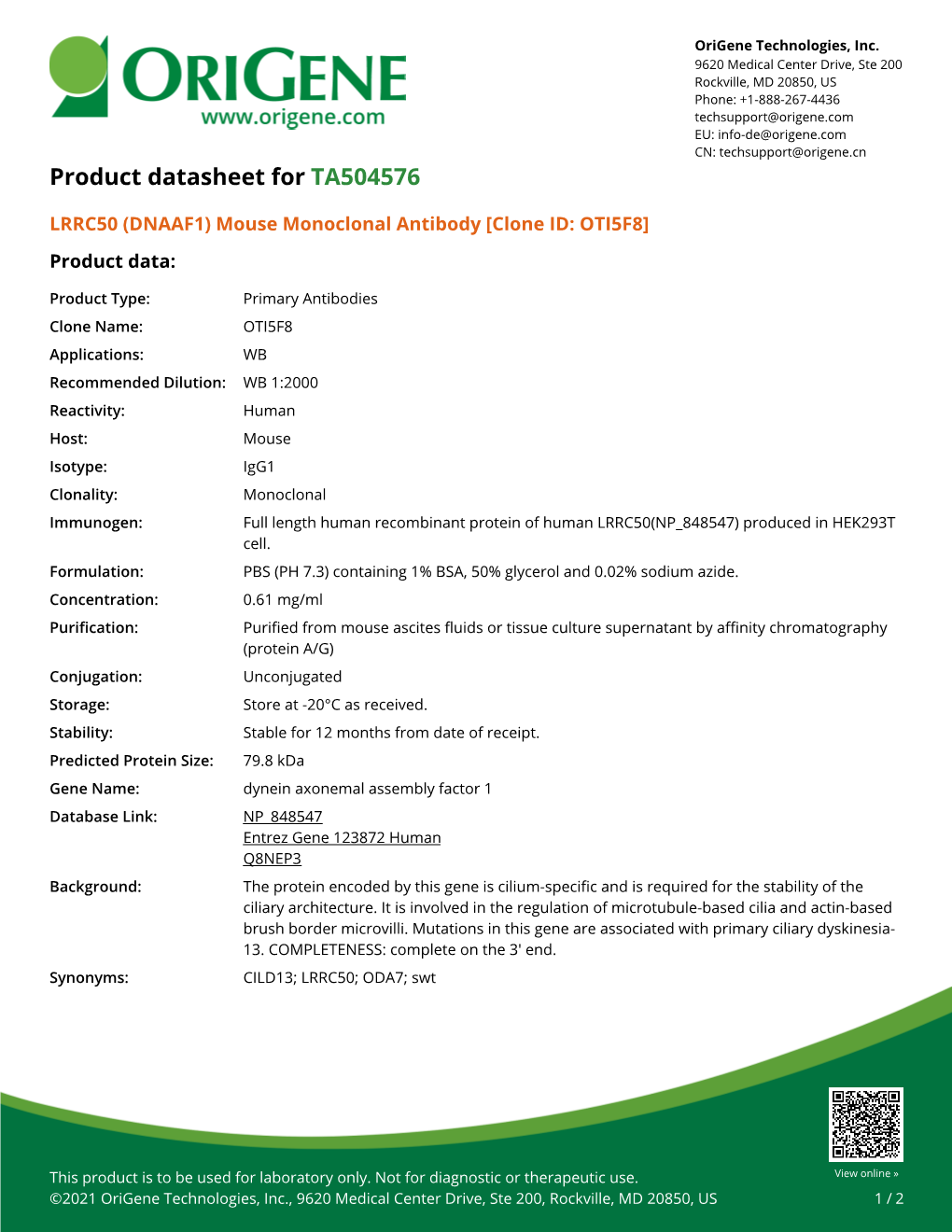 LRRC50 (DNAAF1) Mouse Monoclonal Antibody [Clone ID: OTI5F8] Product Data