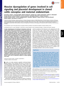 Massive Dysregulation of Genes Involved in Cell Signaling and Placental Development in Cloned Cattle Conceptus and Maternal Endo