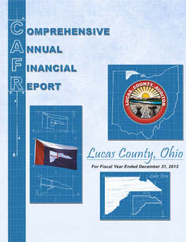 Lucas County, Ohio Comprehensive Annual Financial Report for the Year Ended December 31, 2013