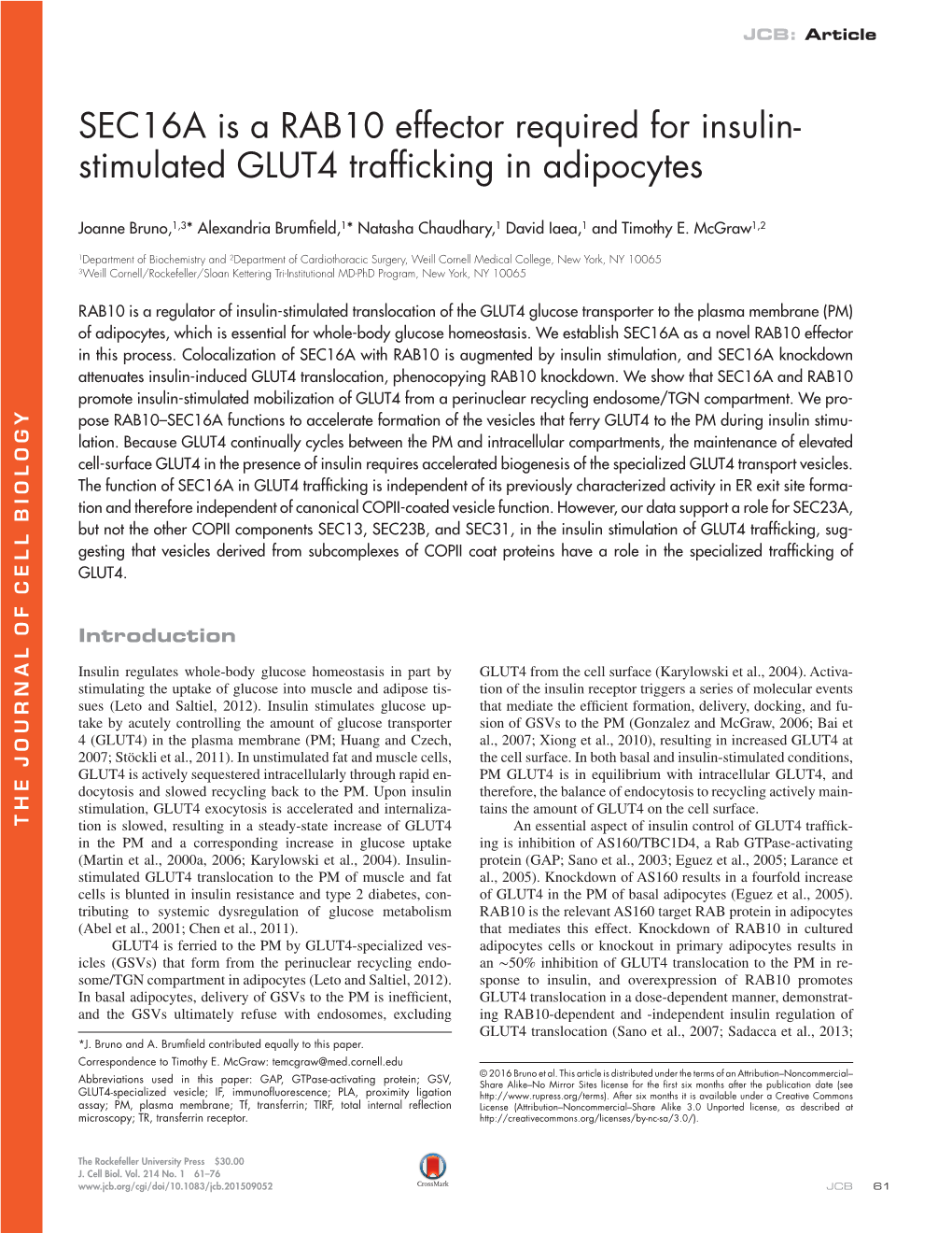 SEC16A Is a RAB10 Effector Required for Insulin- Stimulated GLUT4 Trafficking in Adipocytes