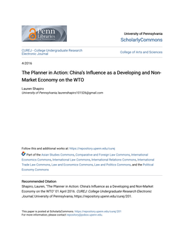 China's Influence As a Developing and Non-Market Economy on The