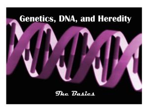 Genetics, DNA, and Heredity