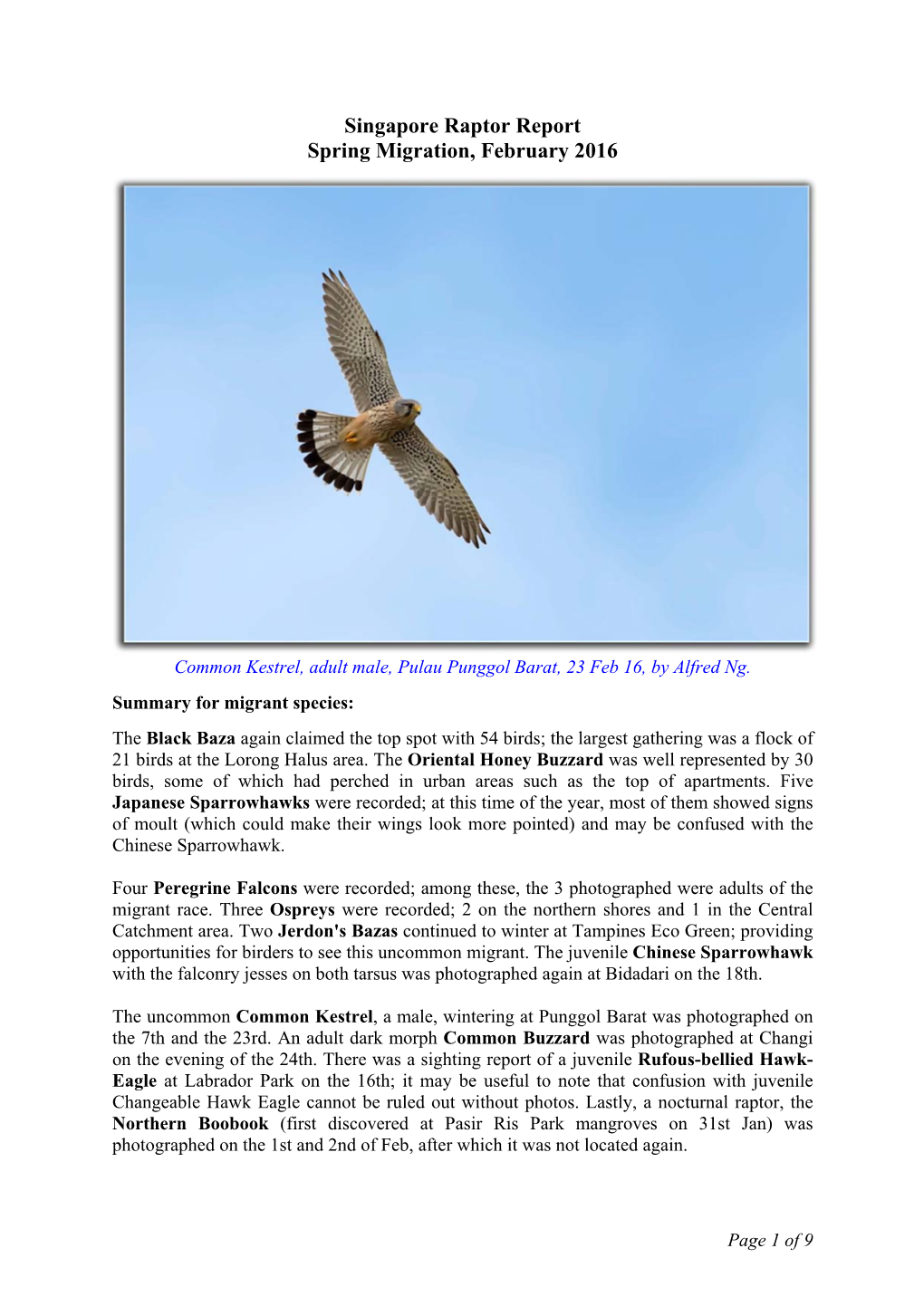 Singapore Raptor Report Feb16