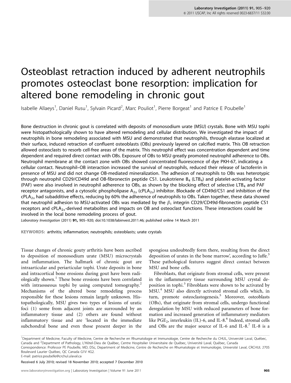 Osteoblast Retraction Induced by Adherent Neutrophils