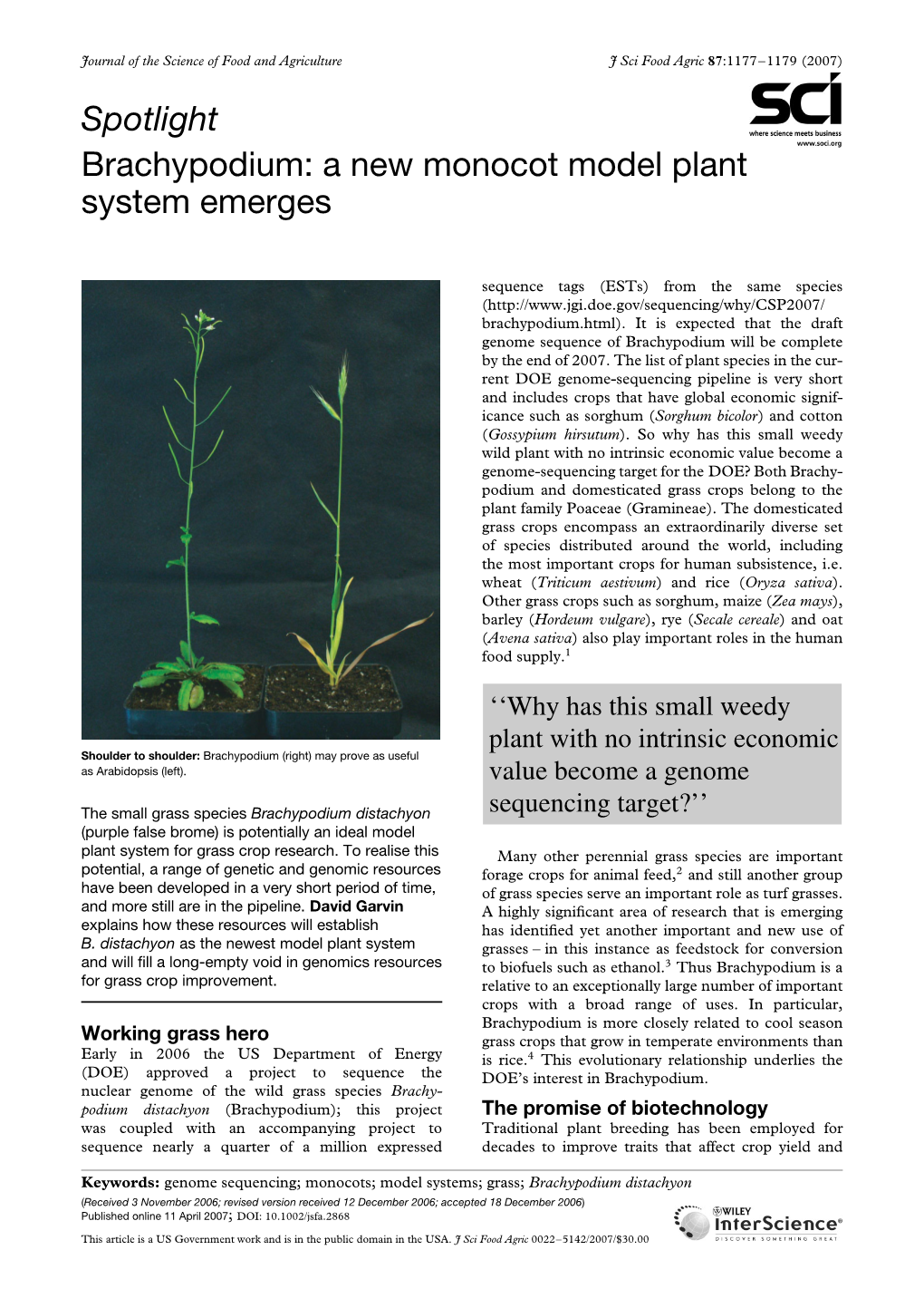 Brachypodium: a New Monocot Model Plant System Emerges