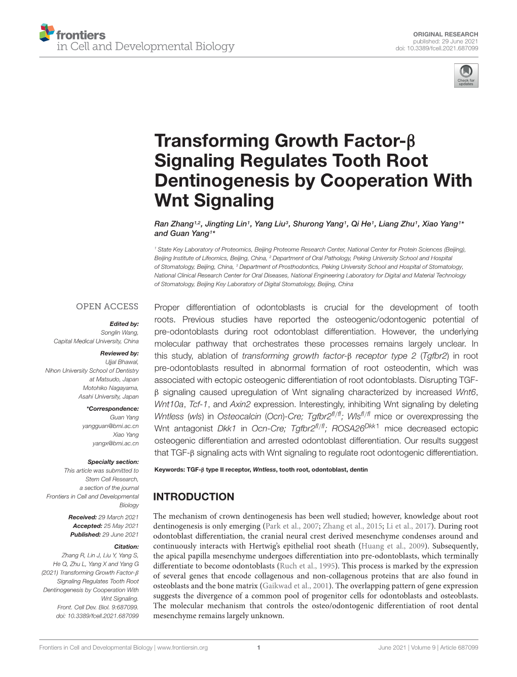 Transforming Growth Factor-Β Signaling Regulates Tooth Root Dentinogenesis by Cooperation with Wnt Signaling