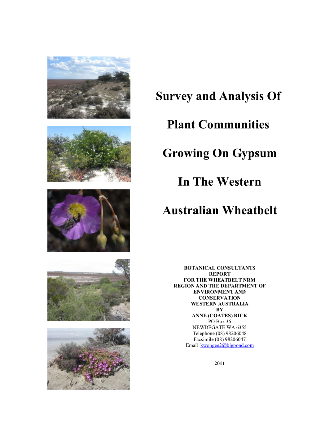 Survey and Analysis of Plant Communities Growing on Gypsum