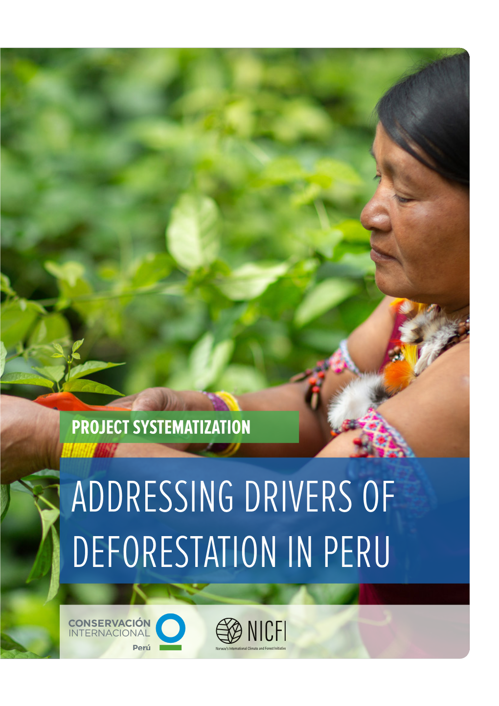 Addressing Drivers of Deforestation in Peru