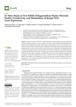 In Vitro Study of Two Edible Polygonoideae Plants: Phenolic Proﬁle, Cytotoxicity, and Modulation of Keap1-Nrf2 Gene Expression