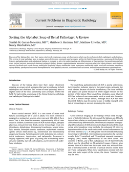 Sorting the Alphabet Soup of Renal Pathology: a Review