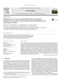 Phytoextraction of Heavy Metal Polluted Soils Using Sedum