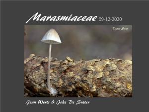 Marasmiaceae 09-12-2020 Victor Swan