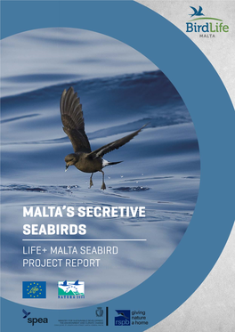 Malta's Secretive Seabirds