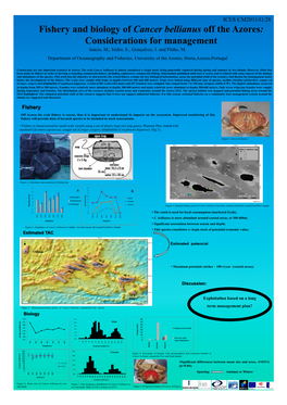 Fishery and Biology of Cancer Bellianus Off the Azores