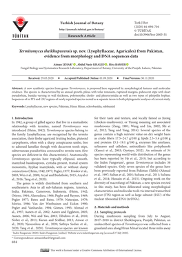 Termitomyces Sheikhupurensis Sp. Nov. (Lyophyllaceae, Agaricales) from Pakistan, Evidence from Morphology and DNA Sequences Data