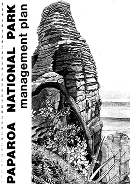 Paparoa National Park Management Plan