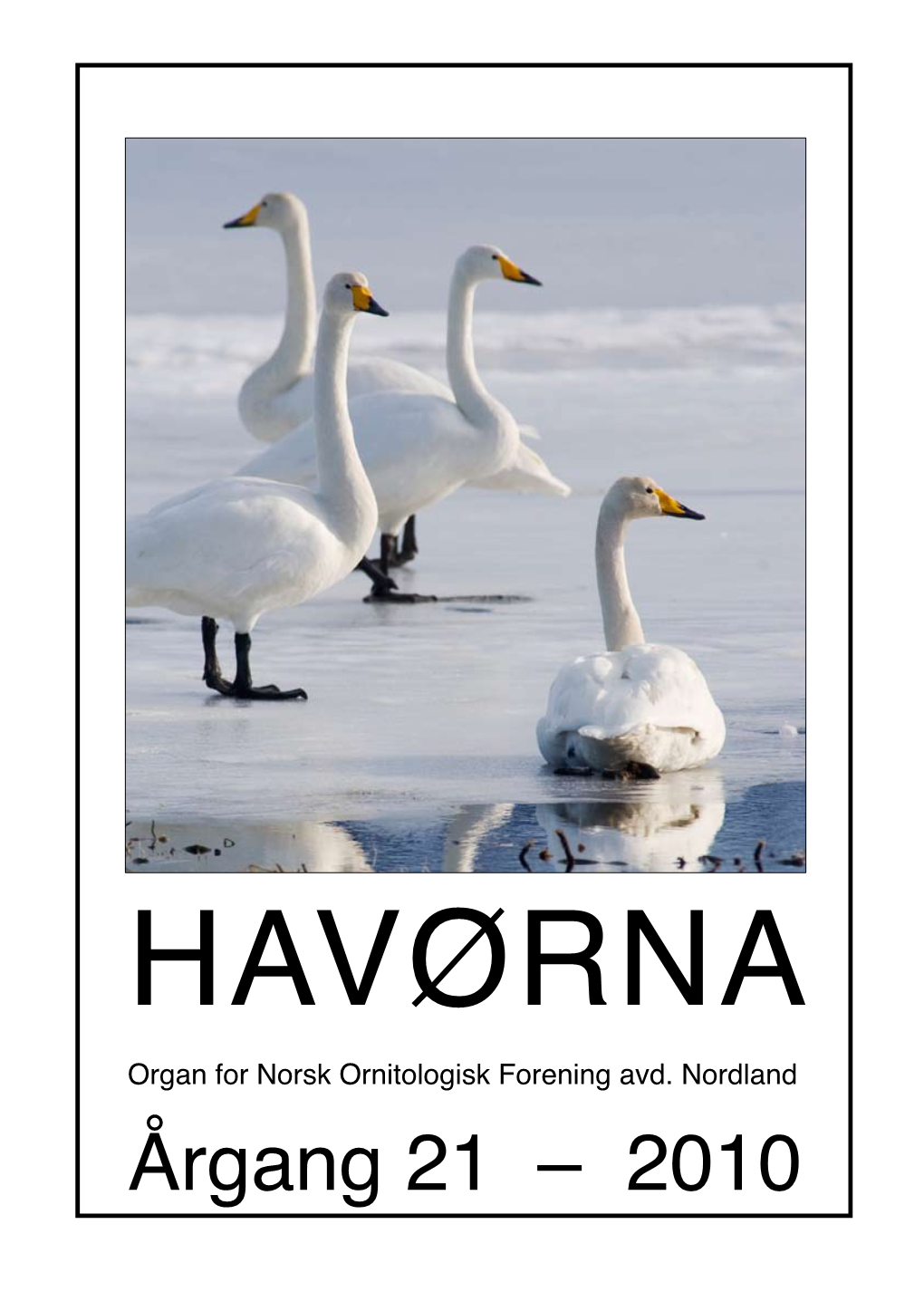 HAVØRNA Organ for Norsk Ornitologisk Forening Avd