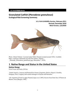 Granulated Catfish (Pterodoras Granulosus) Ecological Risk Screening Summary