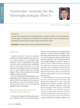 Ventricular Anatomy for the Electrophysiologist (Part I)