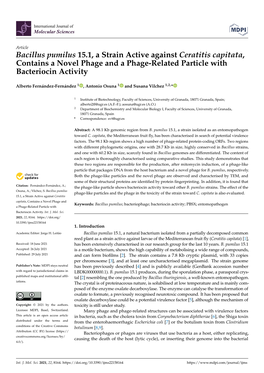 Bacillus Pumilus 15.1, a Strain Active Against Ceratitis Capitata, Contains a Novel Phage and a Phage-Related Particle with Bacteriocin Activity