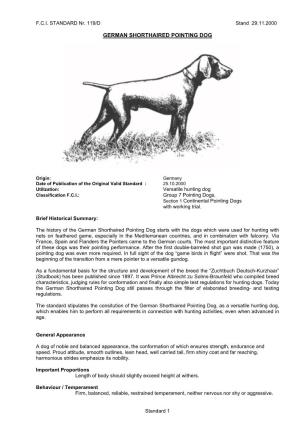 German Shorthaired Pointing Dog