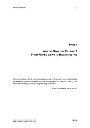 Part 1 What Is Negative Entropy? from World Views