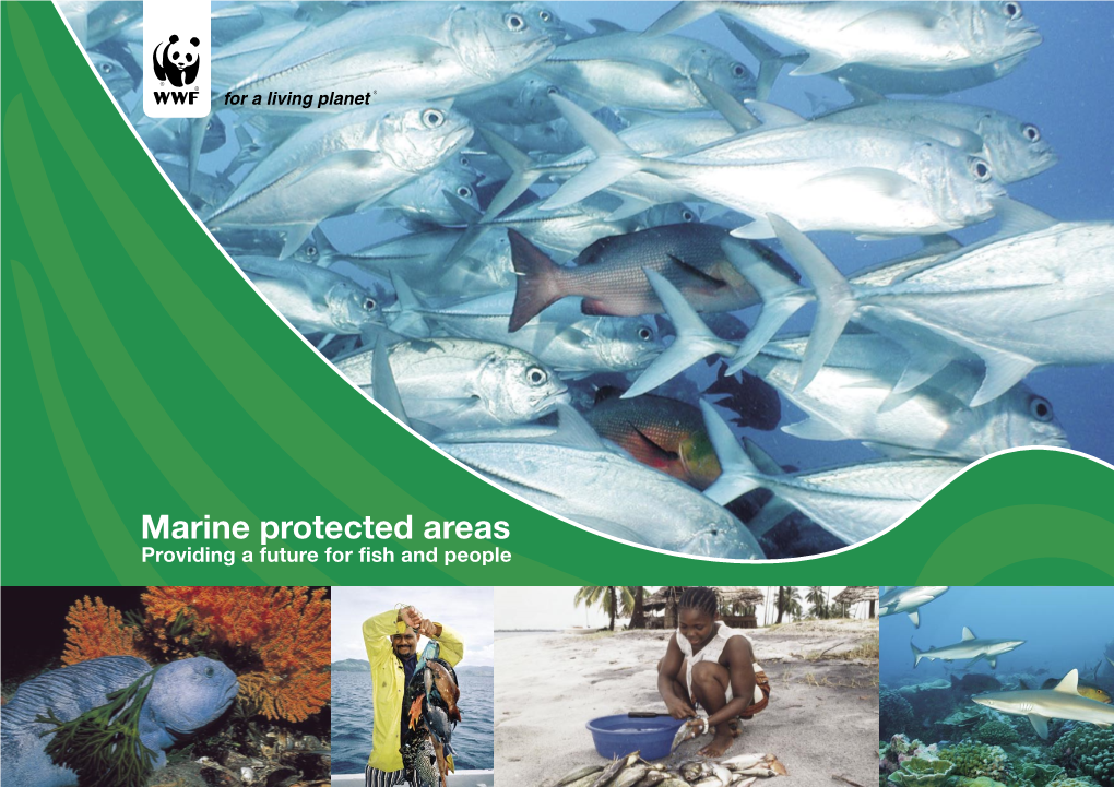 Marine Protected Areas Restoring the Balance