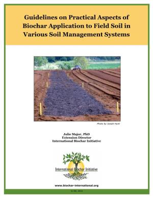 Guidelines on Practical Aspects of Biochar Application to Field Soil in Various Soil Management Systems