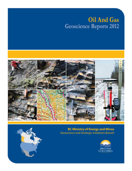 Oil and Gas Geoscience Reports 2012