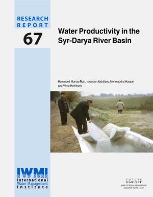 Water Productivity in the Syr-Darya River Basin