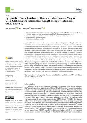 Epigenetic Characteristics of Human Subtelomeres Vary in Cells Utilizing the Alternative Lengthening of Telomeres (ALT) Pathway