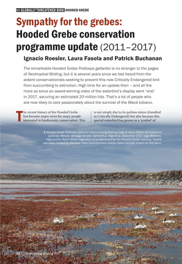 Hooded Grebe Conservation Programme Update (2011–2017) Ignacio Roesler, Laura Fasola and Patrick Buchanan
