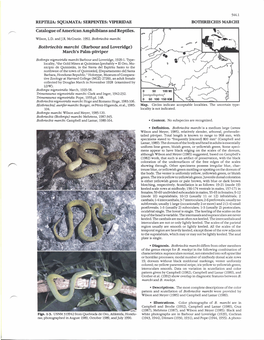 RE-. Catalogue of American Amphibians and Reptiles. Botbriecbfs Marcbi (Barbour and Loveridge) March's Palm-Pitviper