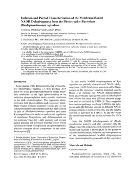 Isolation and Partial Characterization of the Membrane-Bound NADH Dehydrogenase from the Phototrophic Bacterium Rhodopseudomonas