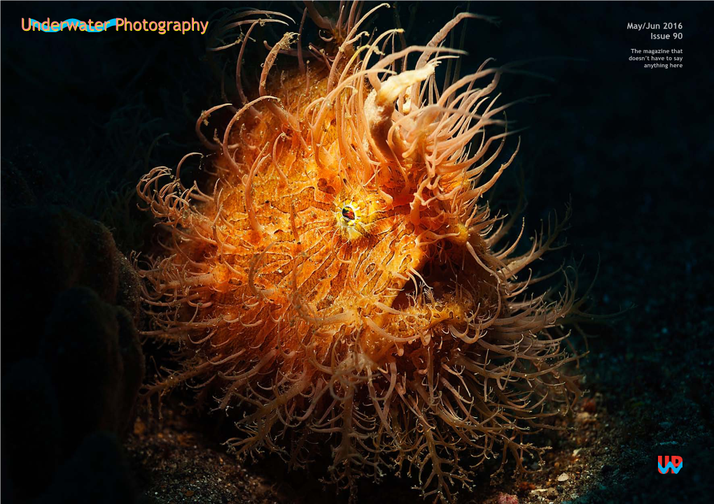 Underwater Photography May/Jun 2016 Issue 90