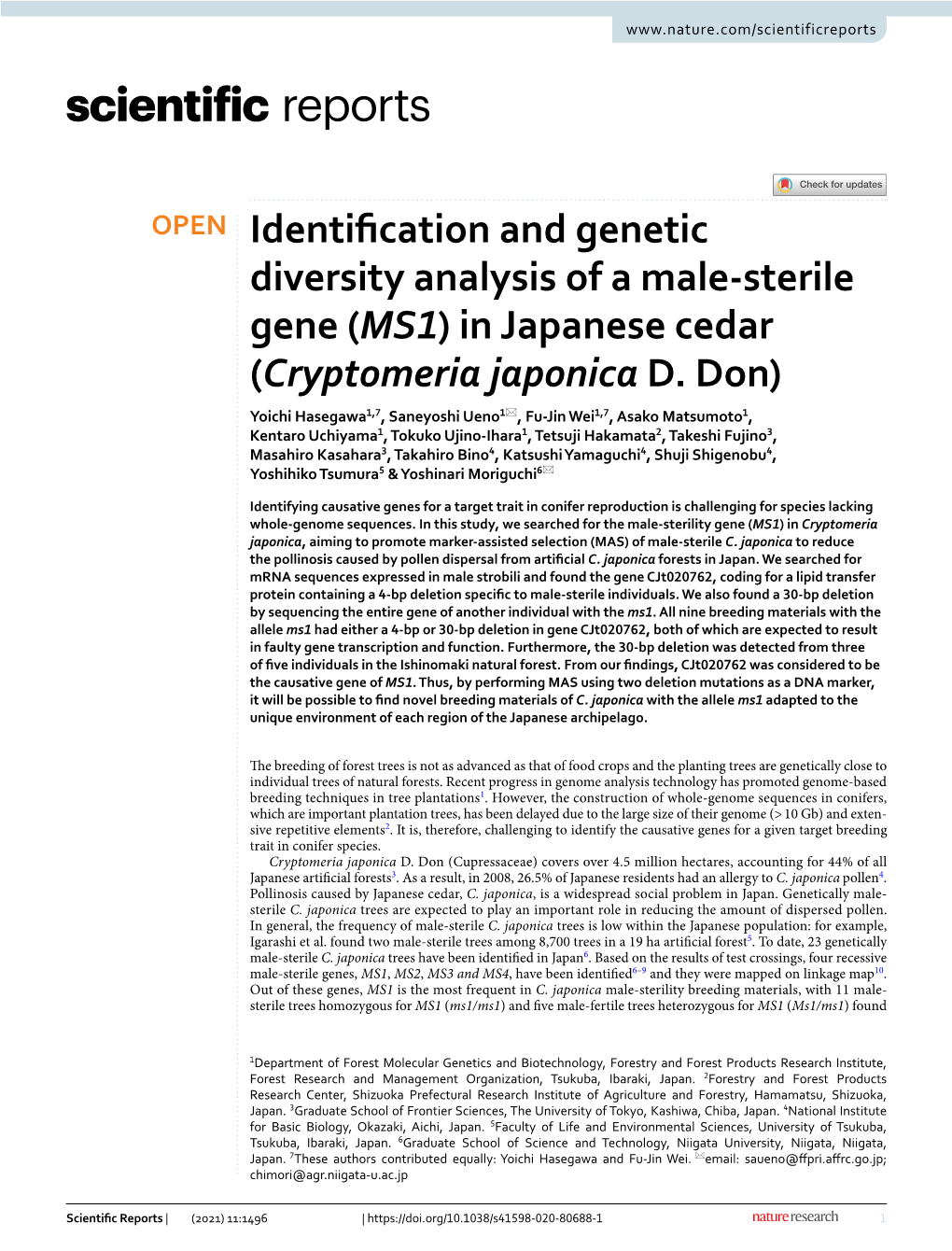 Identification and Genetic Diversity Analysis of a Male-Sterile Gene