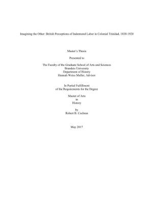 British Perceptions of Indentured Labor in Colonial Trinidad, 1838-1920