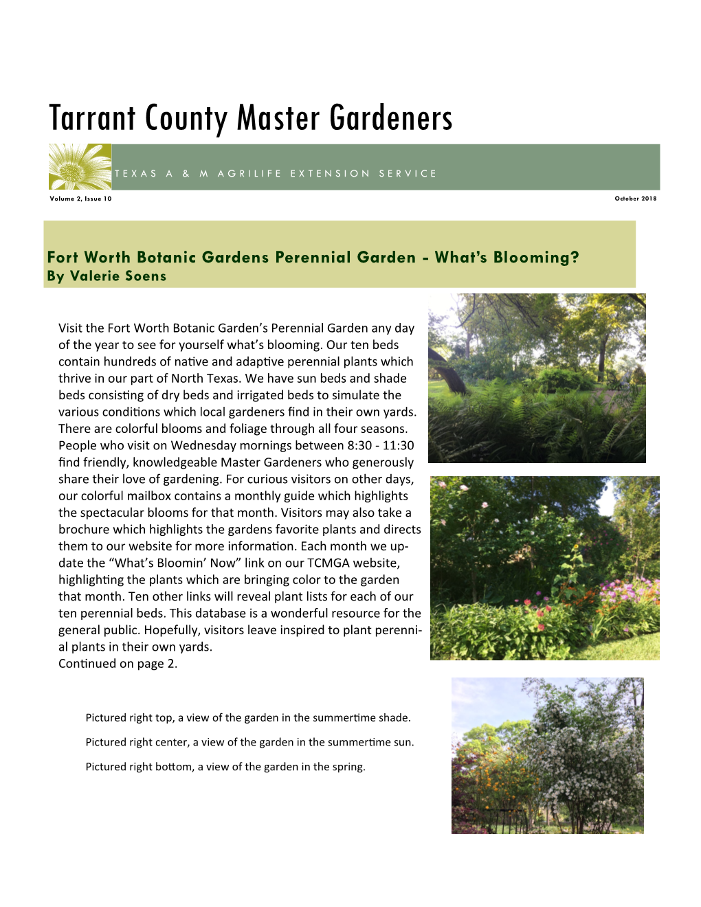 Fort Worth Botanic Gardens Perennial Garden - What’S Blooming? by Valerie Soens