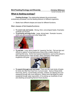 Bird Feeding Ecology and Diversity Christine Wilkinson Cornell University, 2010 What Is Feeding Ecology?