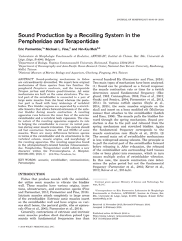 Sound Production by a Recoiling System in the Pempheridae and Terapontidae