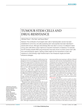 Tumour Stem Cells and Drug Resistance