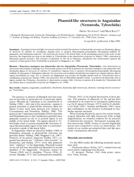 Phasmid-Like Structures in Anguinidae (Nematoda, Tylenchida)