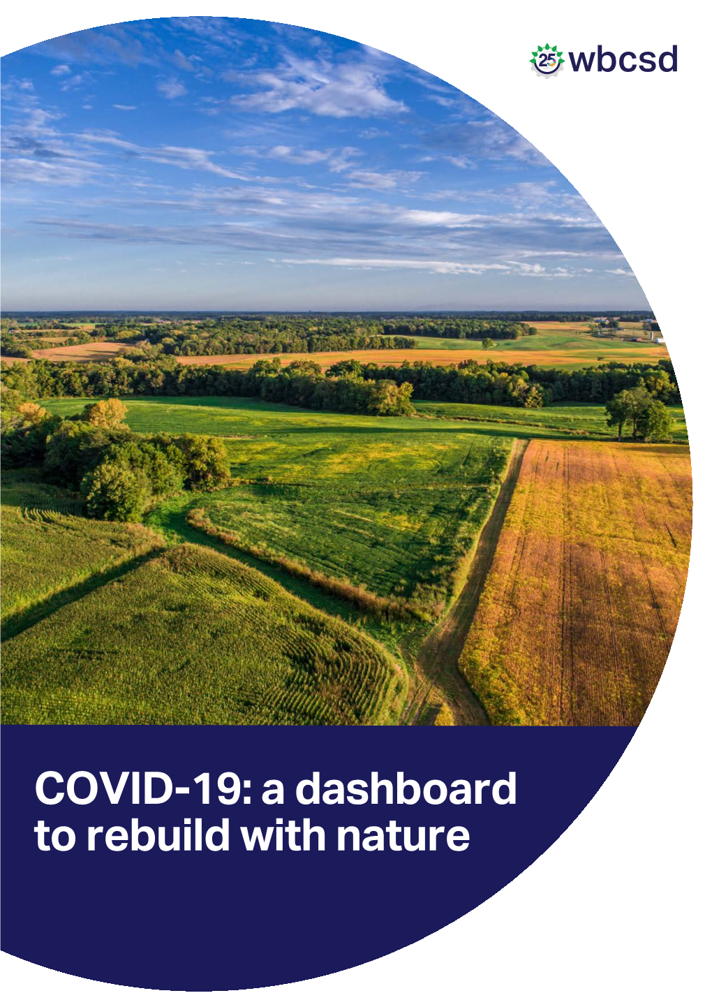 COVID-19: a Dashboard to Rebuild with Nature Table of Contents Executive Summary