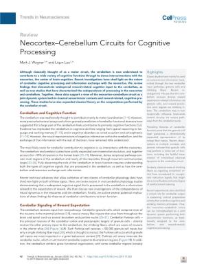 Neocortex-Cerebellum Circuits for Cognitive Processing