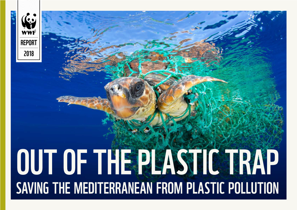 Out of the Plastic Trap. Saving the Mediterranean from Plastic Pollution EXECUTIVE SUMMARY