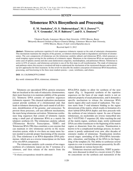 Telomerase RNA Biosynthesis and Processing
