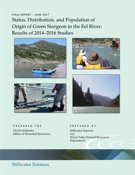 Status, Distribution, and Population of Origin of Green Sturgeon in the Eel River: Results of 2014–2016 Studies