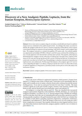 Discovery of a New Analgesic Peptide, Leptucin, from the Iranian Scorpion, Hemiscorpius Lepturus