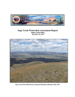 Bureau of Land Management Sage Creek Watershed Assessment Report